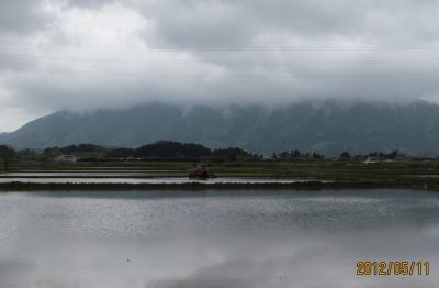 無農薬栽培コシヒカリの代掻きの様子2