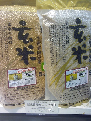 玄米5kg-立川店