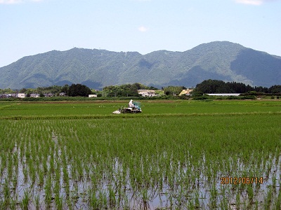 除草機2回目