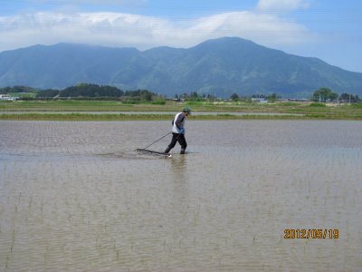 チェーン除草開始2