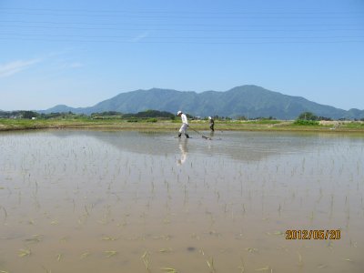 チェーン除草開始1