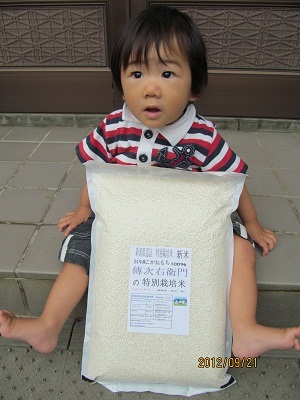 こがねもち真空パック5kg